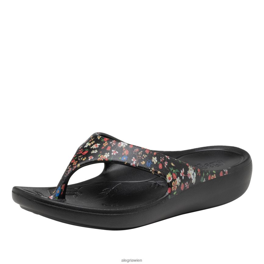 alegria_schuhe_oesterreich_alegria_ode_verwandte_sandale_d2r0bh30.jpg Alegria Schuhe Österreich - Alegria Ode verwandte Sandale D2R0BH30 - Image 1