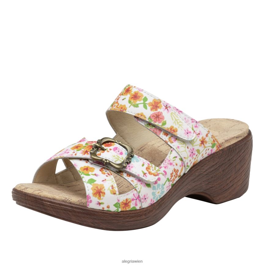 alegria_shoes_alegria_sierra_prime_time_sandale_d2r0bh218.jpg Alegria Shoes - Alegria Sierra Prime Time Sandale D2R0BH218 - Image 1